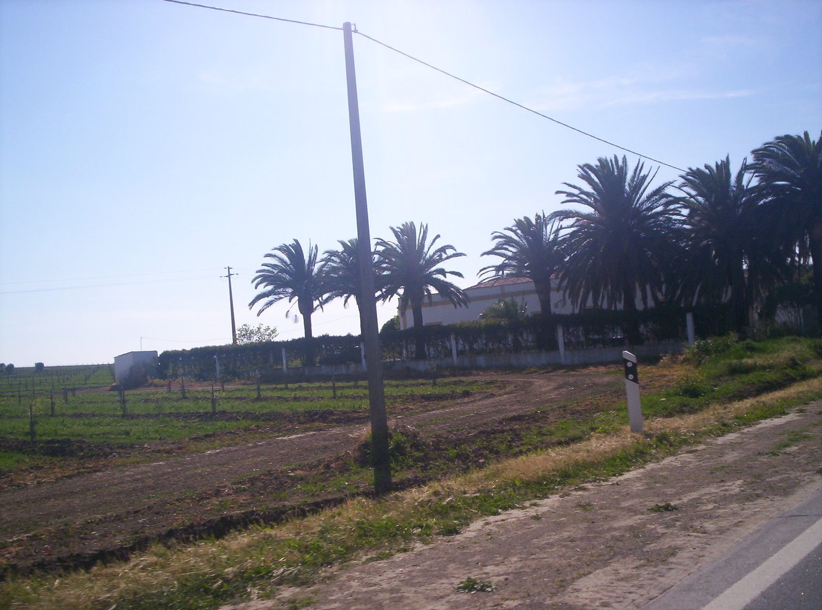 [mertolaabril2009+059.JPG]