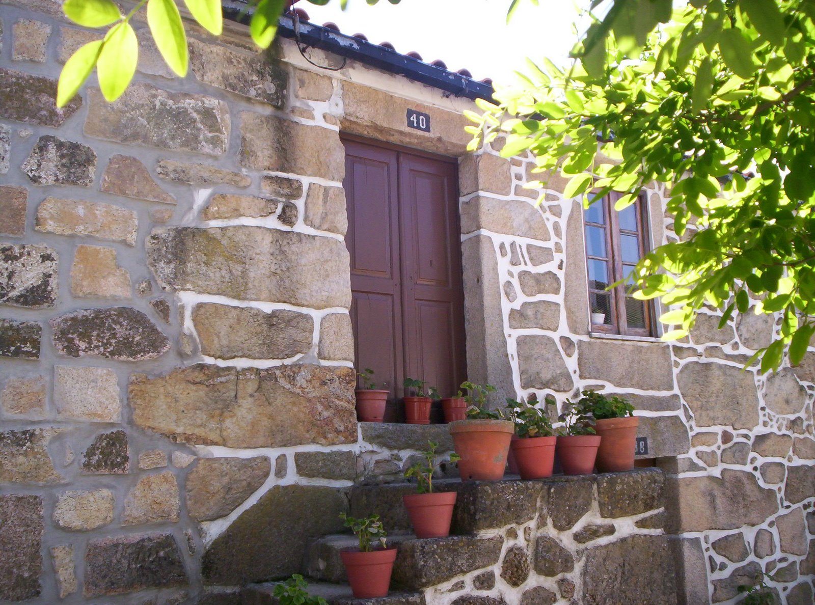 [satao_25abril09+032.JPG]