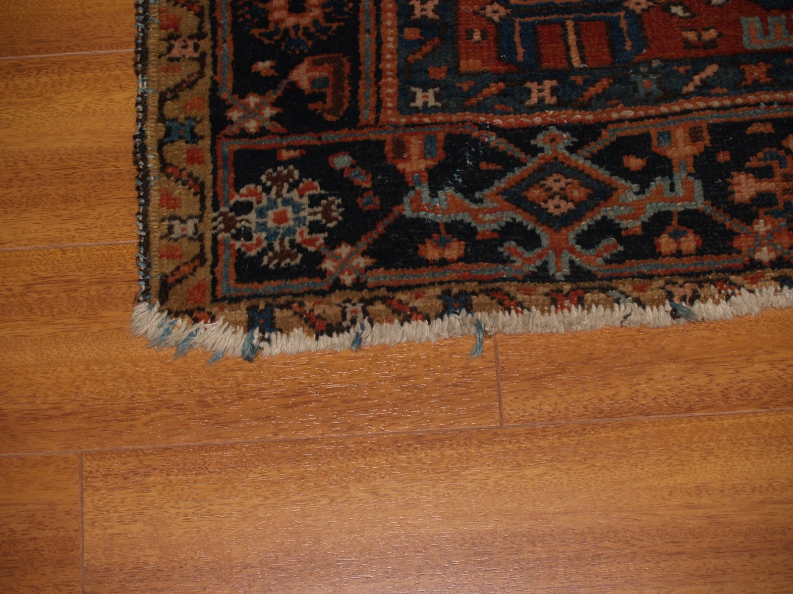 [P1012105.JPG]