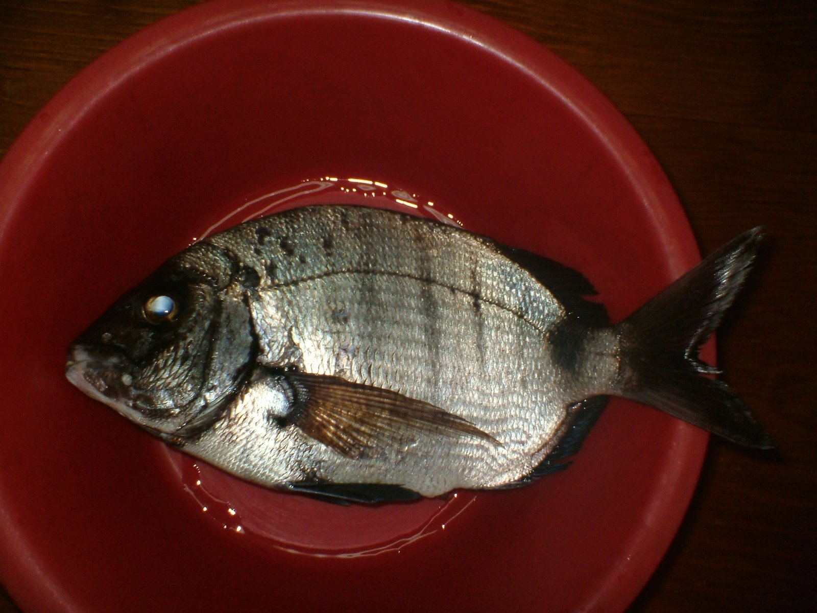 [DSCF1505.JPG]