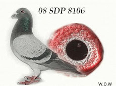 08 SDP 8106