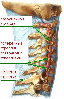 Антибиотики от артрита суставов Антибиотики от артрита суставов