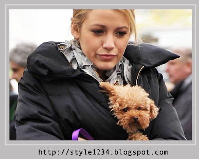 Blake Lively Penny on Blake Lively S Maltipoo Penny