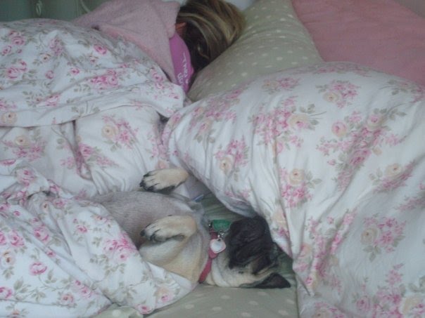 [sadie+sleeping.bmp]