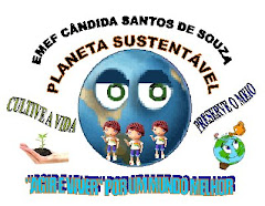 PROJETO PLANETA SUSTENTÁVEL