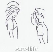 flexion and extension exercises for the cervical spine