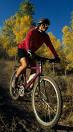 Statistics states that there are more than 40 million Americans who ride bikes at least monthly. Over 5 million people ride at least 20 days/month. With so many Americans bicycling injuries sustained have also risen especially neck and upper back pain.