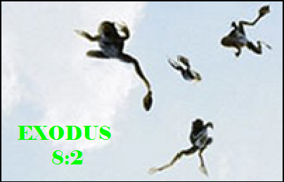 Exodus 8:2 - When it rains, it pours
