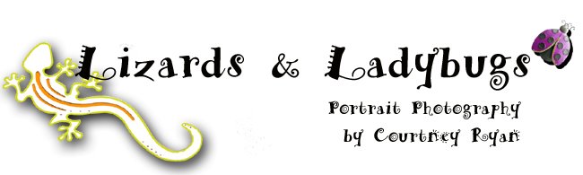 Lizards and Ladybugs