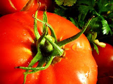 Sauce tomate