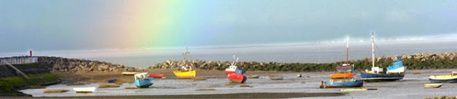 Boats opposite the Craigwell