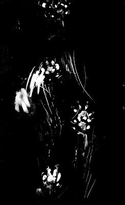 martin prothero