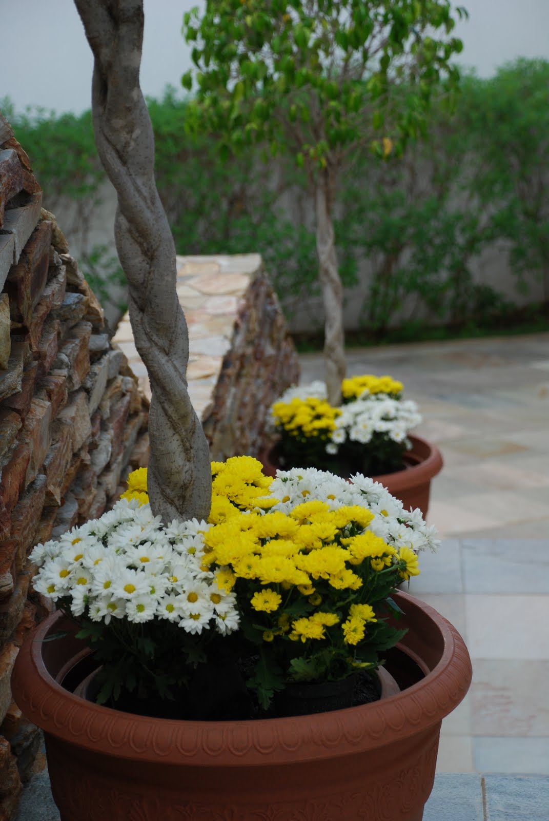 [DSC_0256.JPG]
