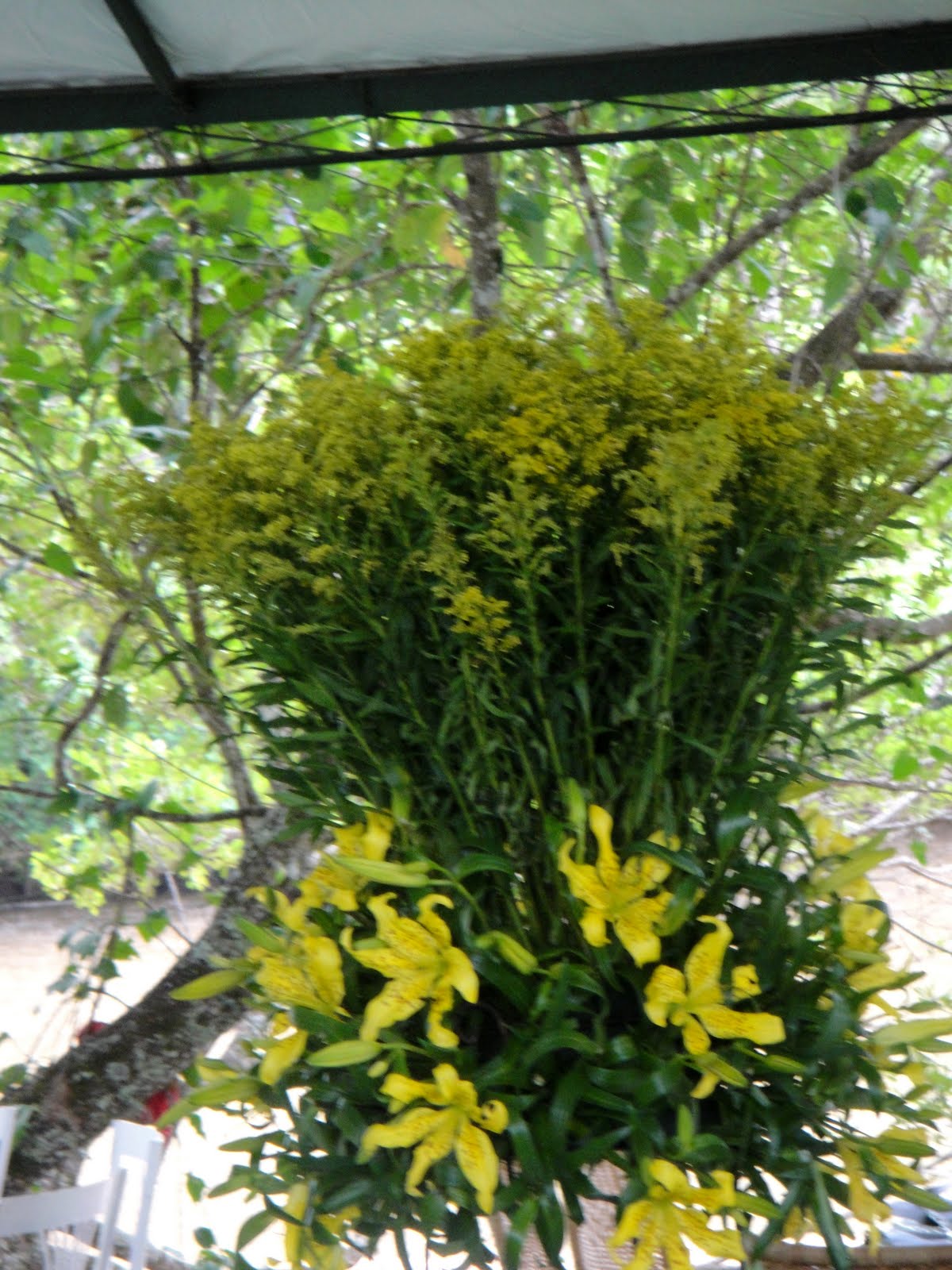 [DSC00422.JPG]