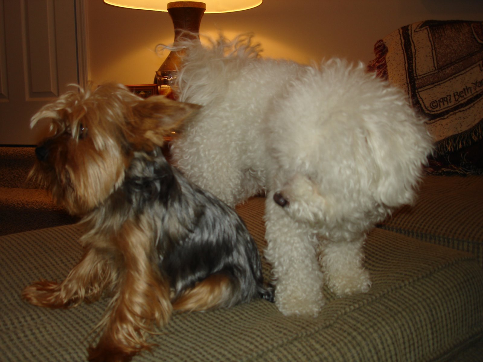 [DSC02497.JPG]