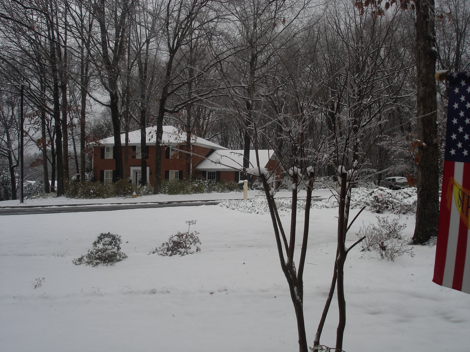 [DSC03049.JPG]