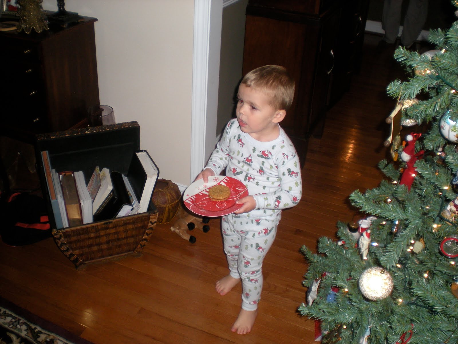 [DSCN2462.JPG]