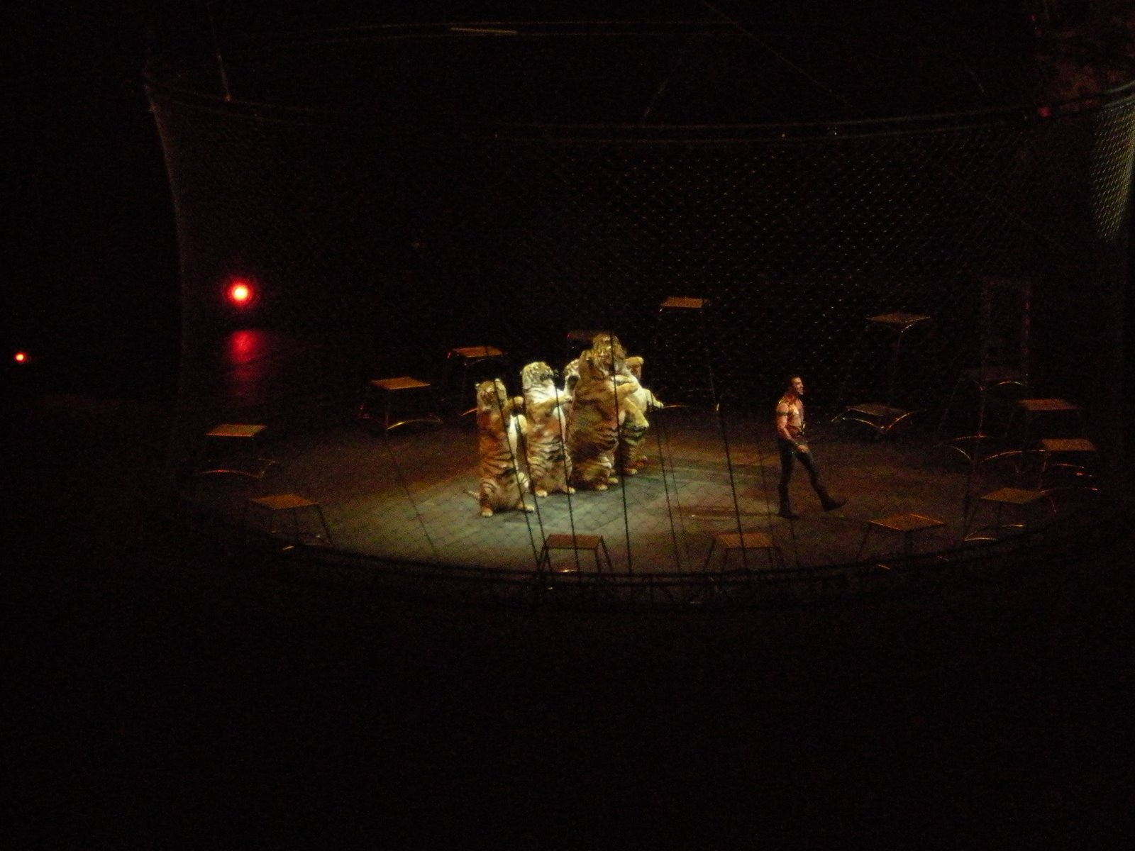 [DSCN0356.JPG]