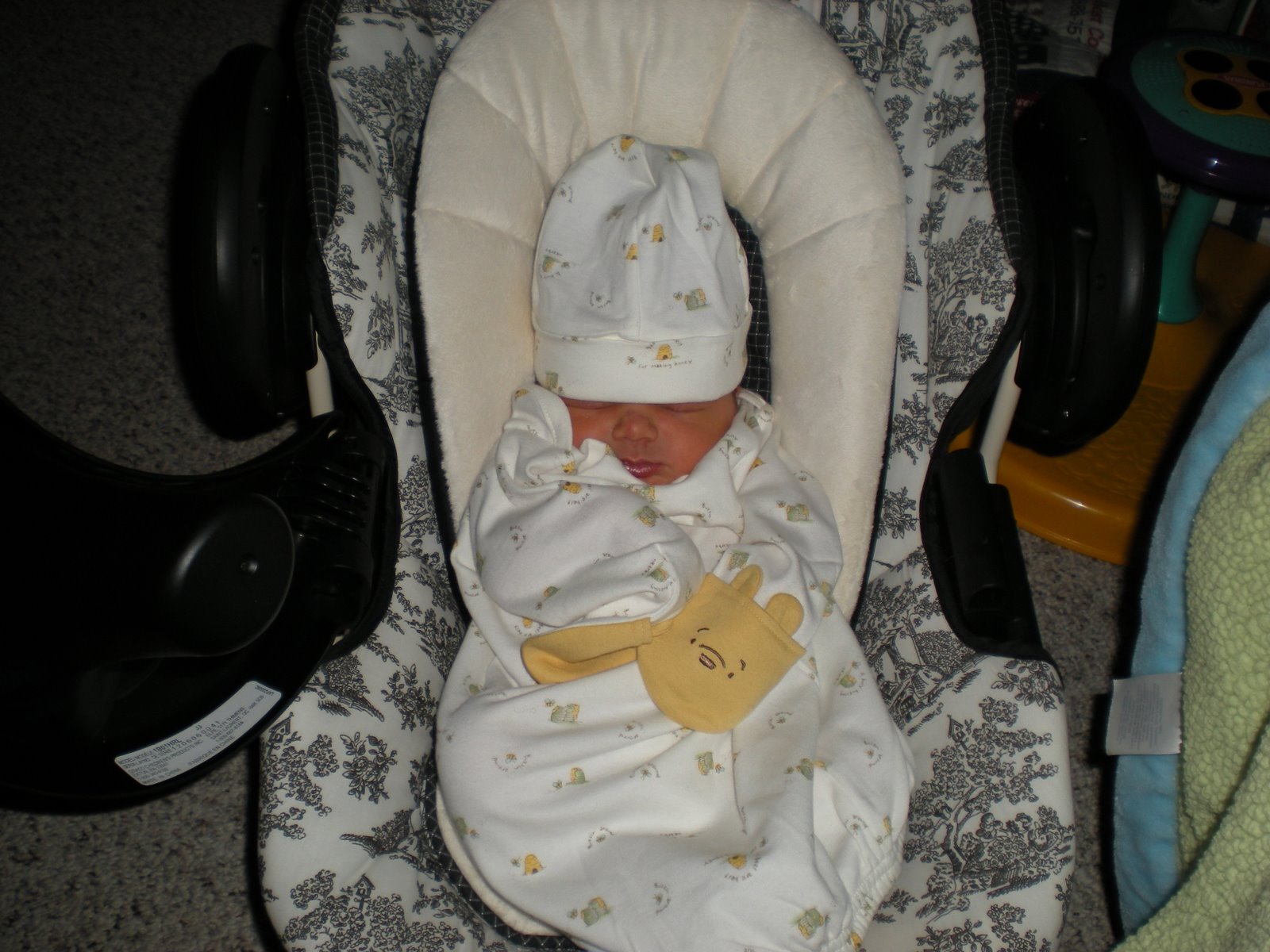 [DSCN0299.JPG]
