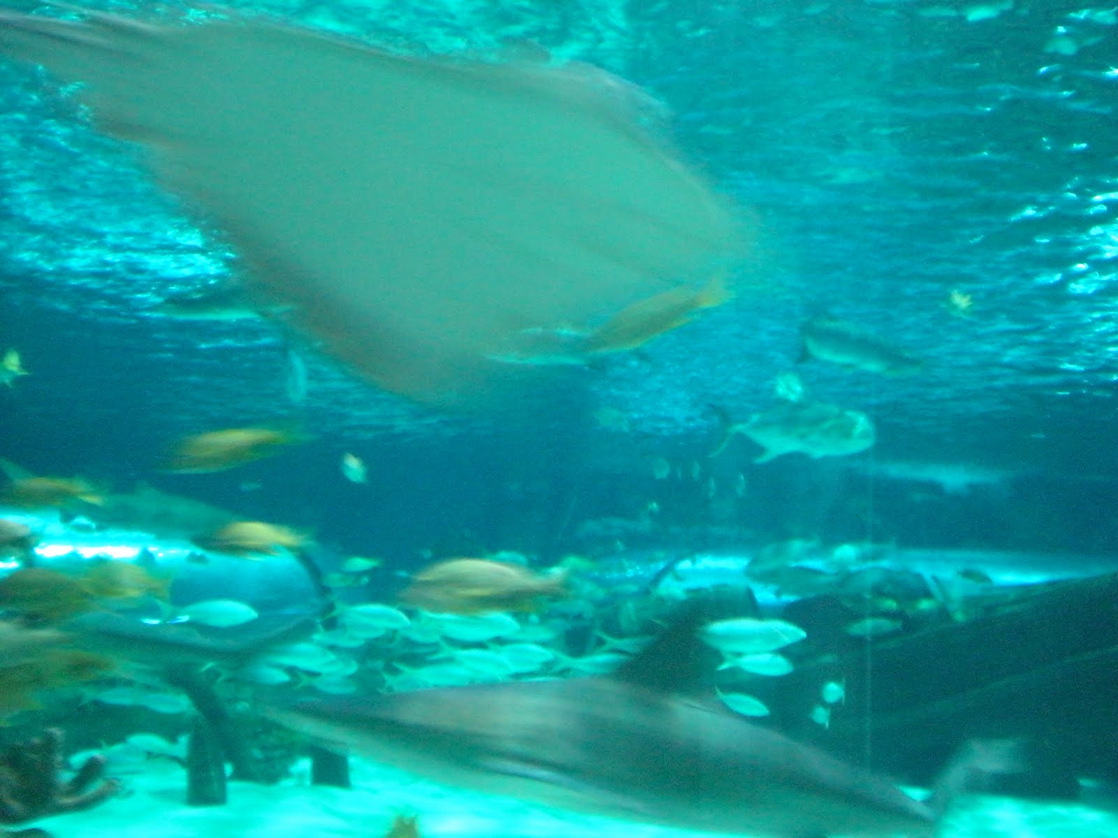 [DSCN2362.JPG]