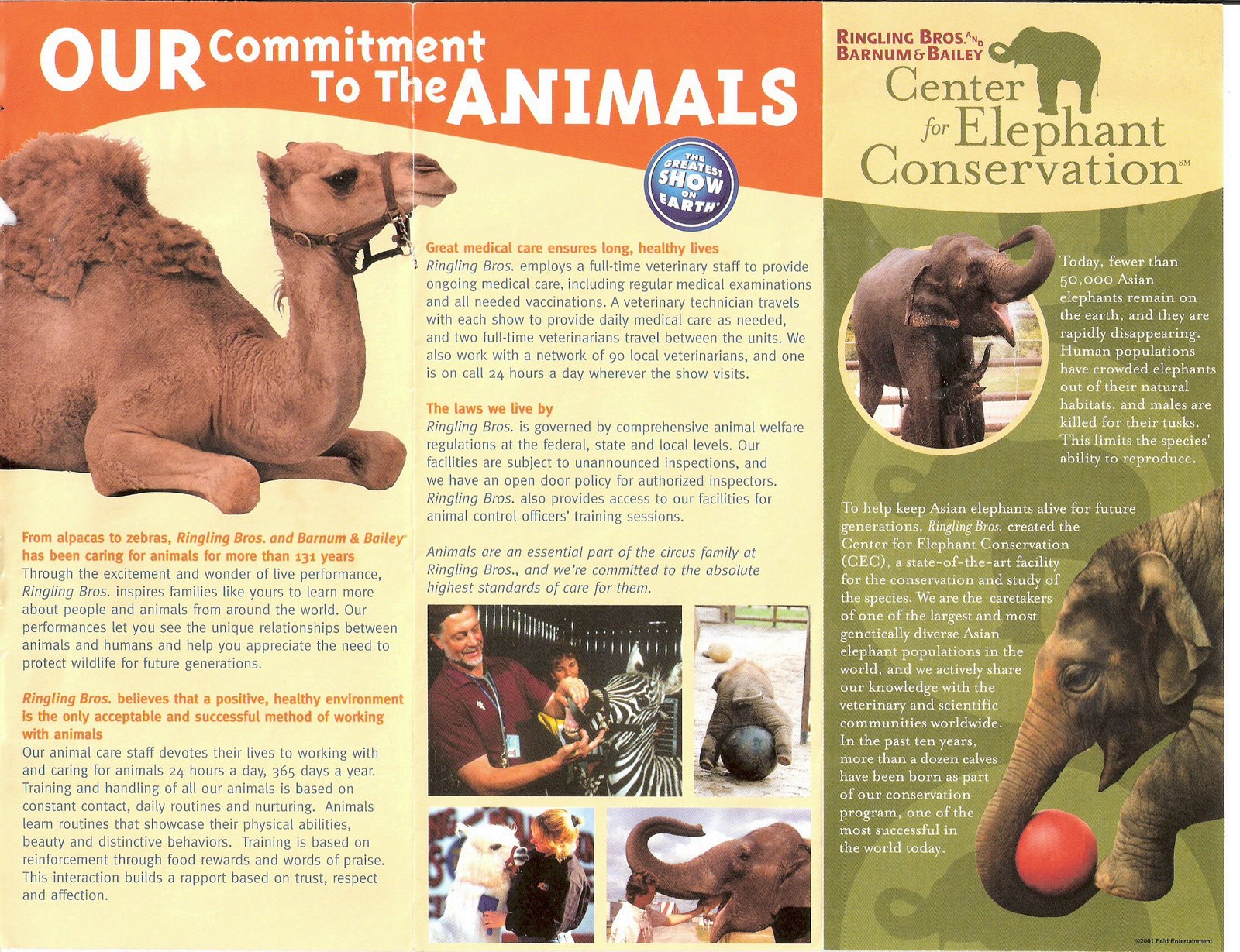 [Animal+Care+Brochure+#2.jpg]