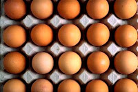 fraicheur oeufs, œuf frais