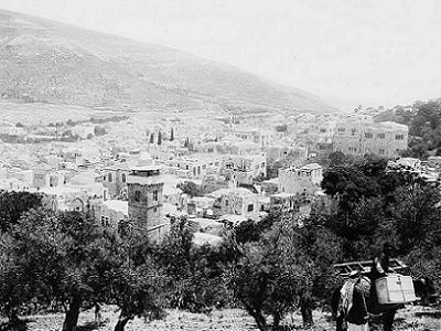 [ANNAB+General+view+of+Nablus+Matson+collection+before+1920.jpg]