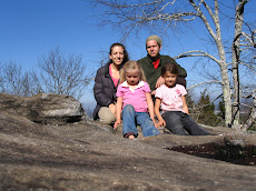 kennesaw mountain