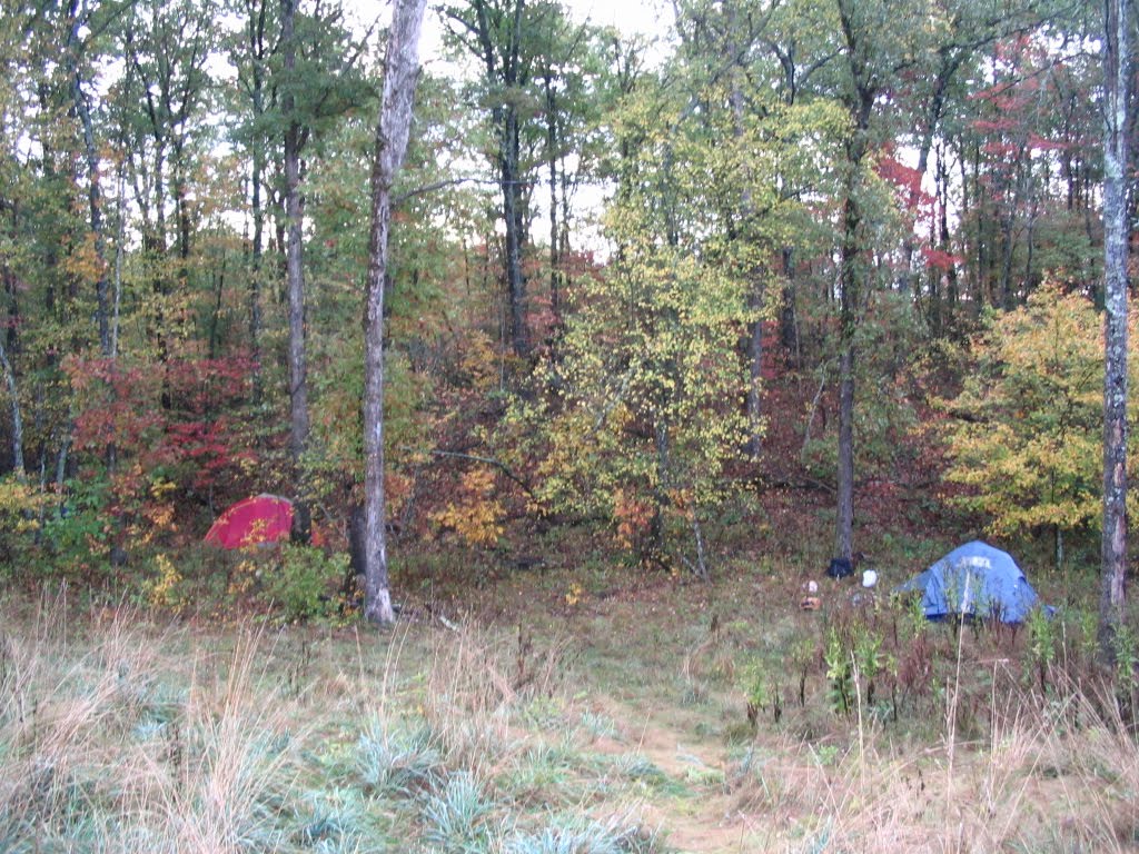 [IMG_1742.JPG]