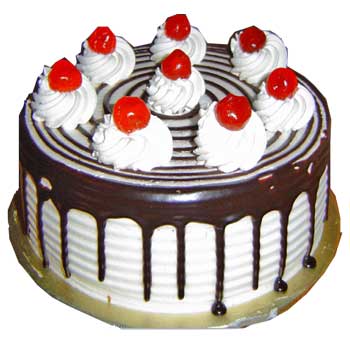 I like Cake I like Cake