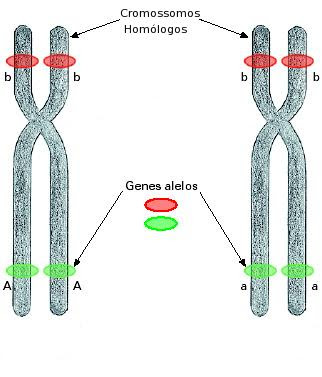 Bioblog