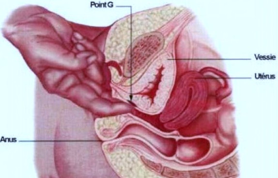Стервы устроили вагинальную еблю с ловеласом - порно фото