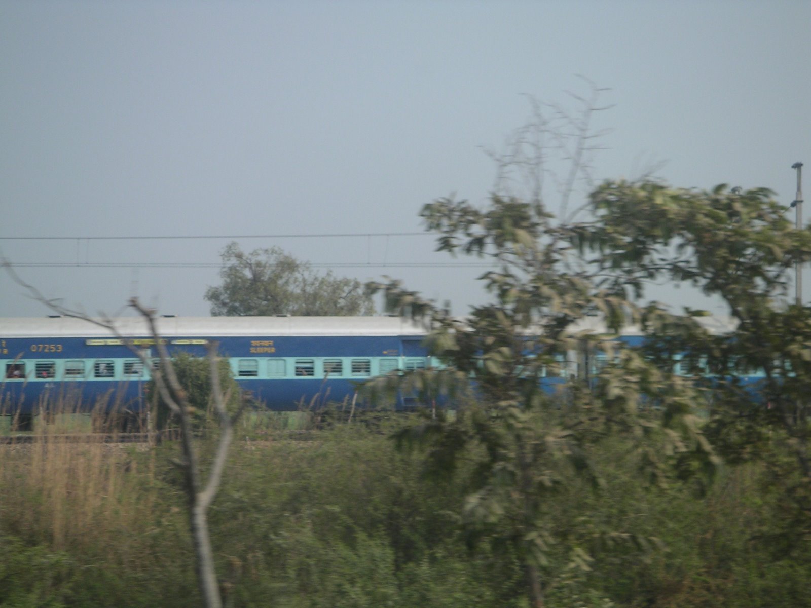 [PICT1774.JPG]