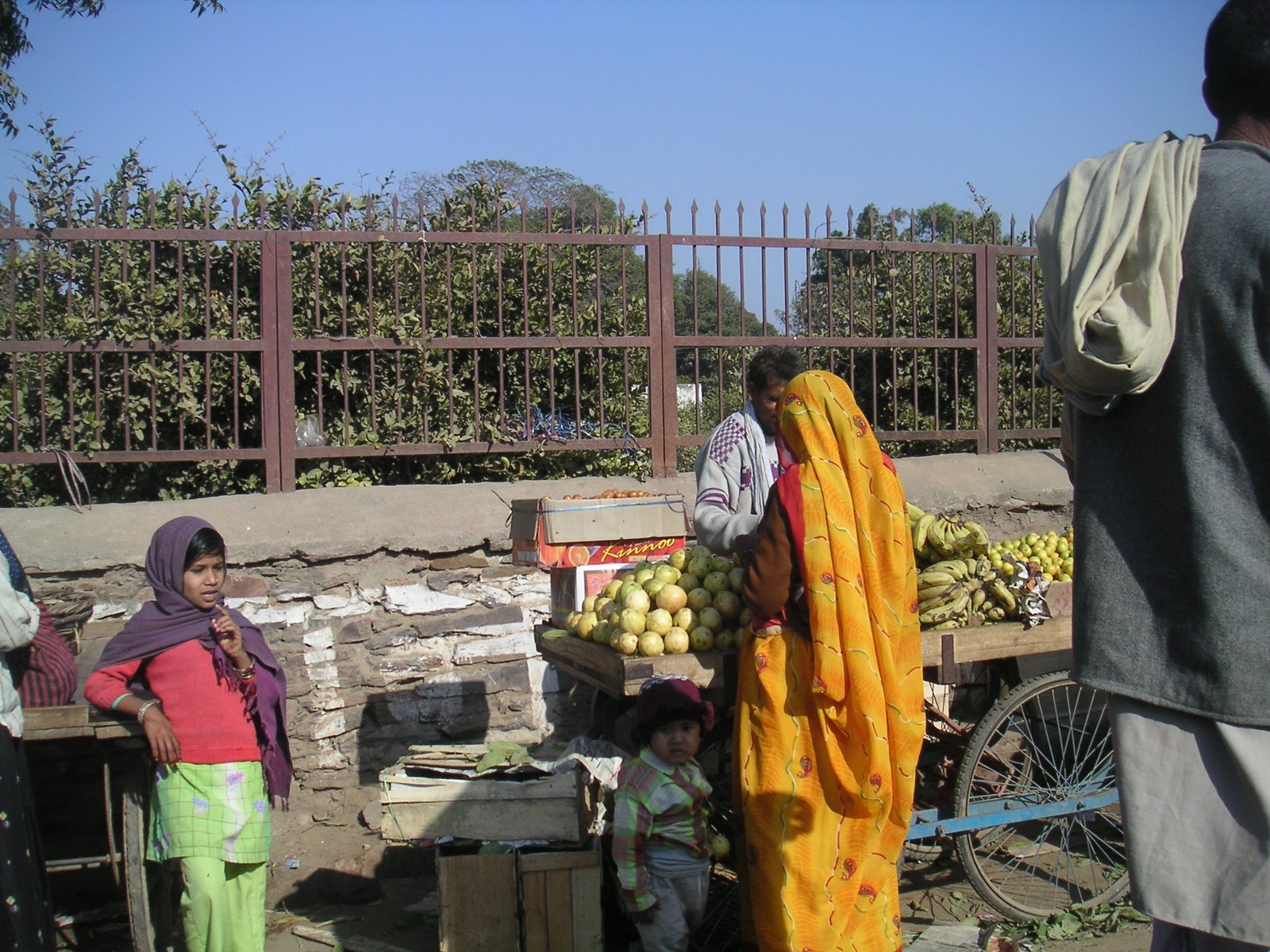 [PICT0244.JPG]