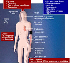 Sintomas de la anorexia