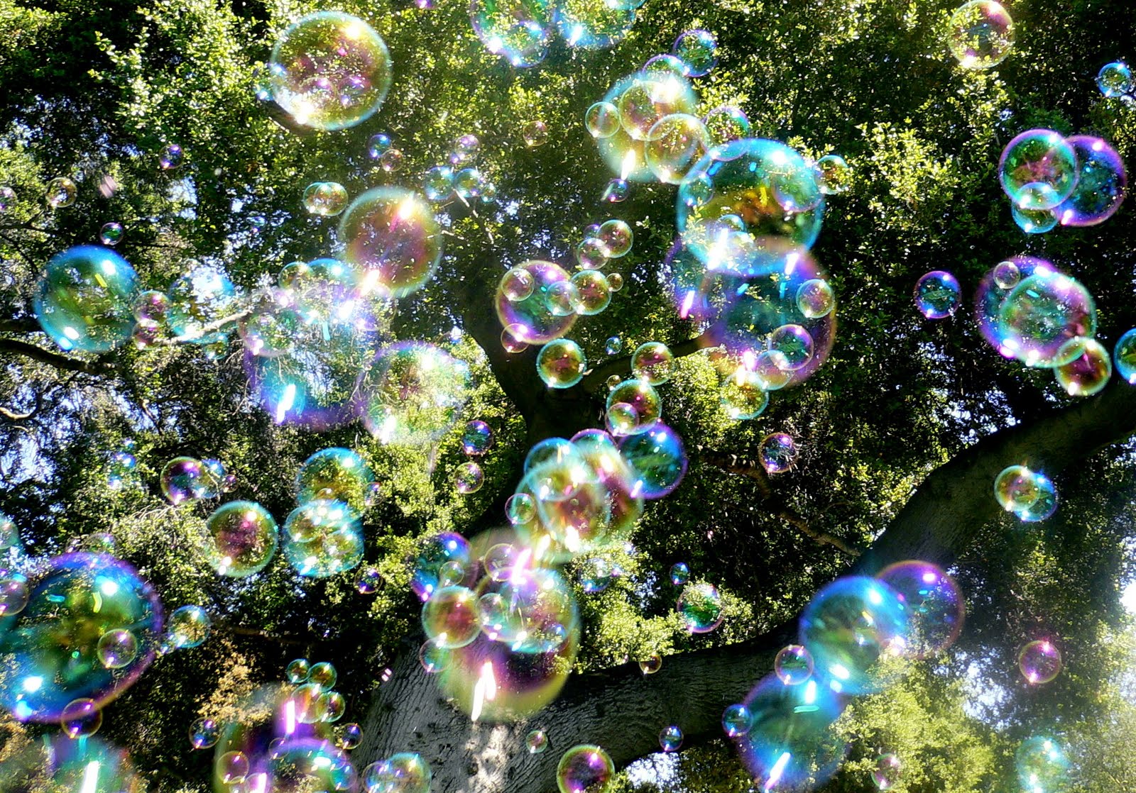 [Bubbles.jpg]