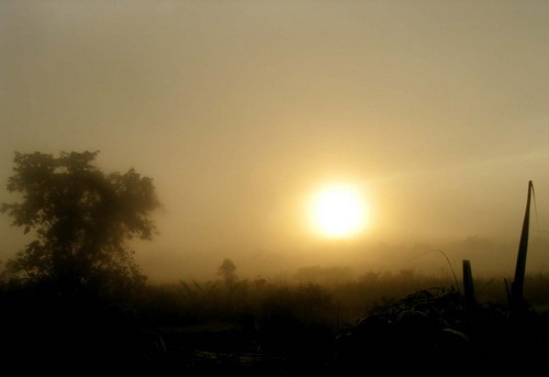 suatu pagi di kalimantan