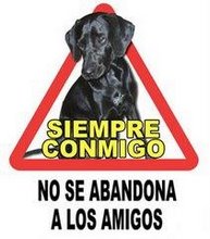 Amigos Caninos