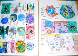 TRANSPARANSIS WARNA (Bio, Fis, Kim, Geo)