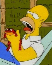 NO FAP SEPTEMBER. - Página 3 Homer+lick+cain+toad