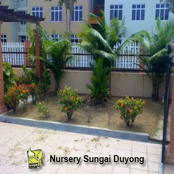 Bukit Beruang Bestari