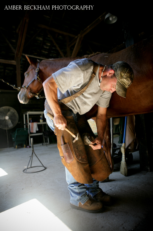 . The Horse Farrier & Ezell Eventing
