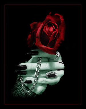 [Rose_from_the_Dark____by_Aliisza.jpg]