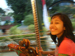 me and my merry-go-round life