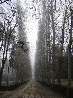 http://4.bp.blogspot.com/_lPYCke1FtTc/SNI7noEFSBI/AAAAAAAABV0/NpsEuH-FMHs/s400/DSCAl-Infinito.jpg