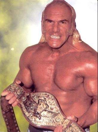 2011 Billy Graham, Light illy billy graham wwe championship. 2011 Billy Graham, Light illy