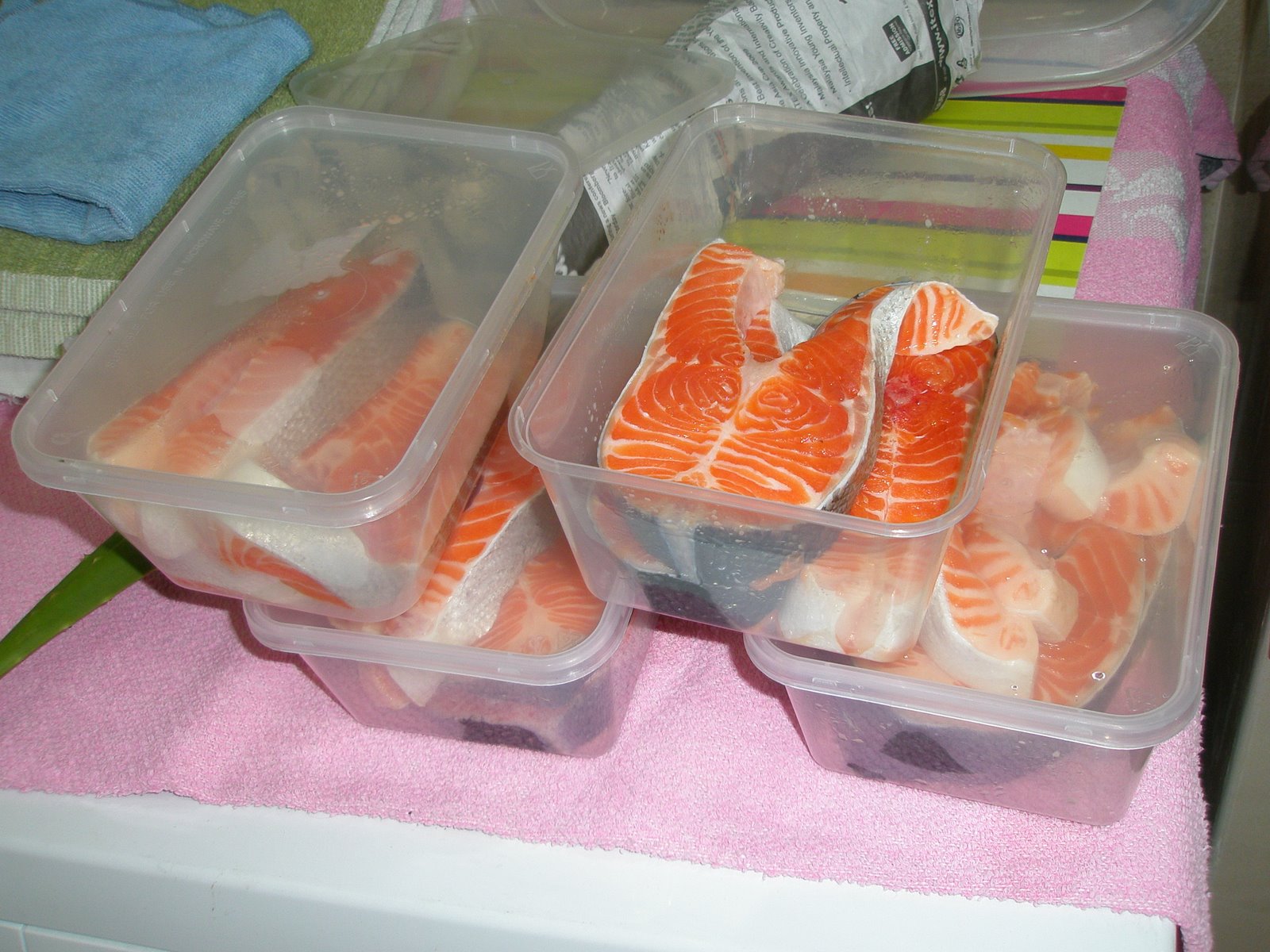 [Salmon,+aloevera,+aly]