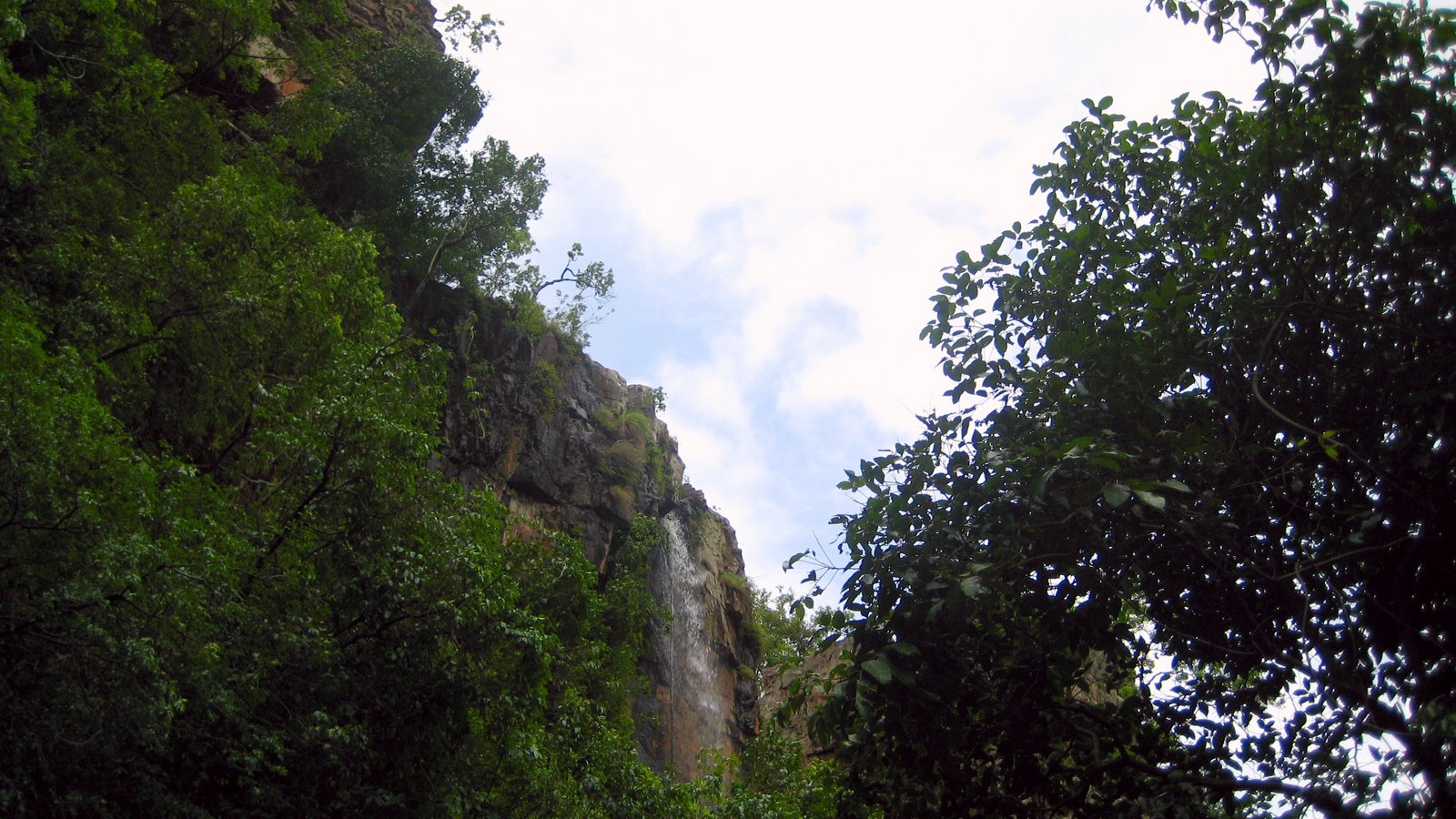 [IMG_7156.JPG]