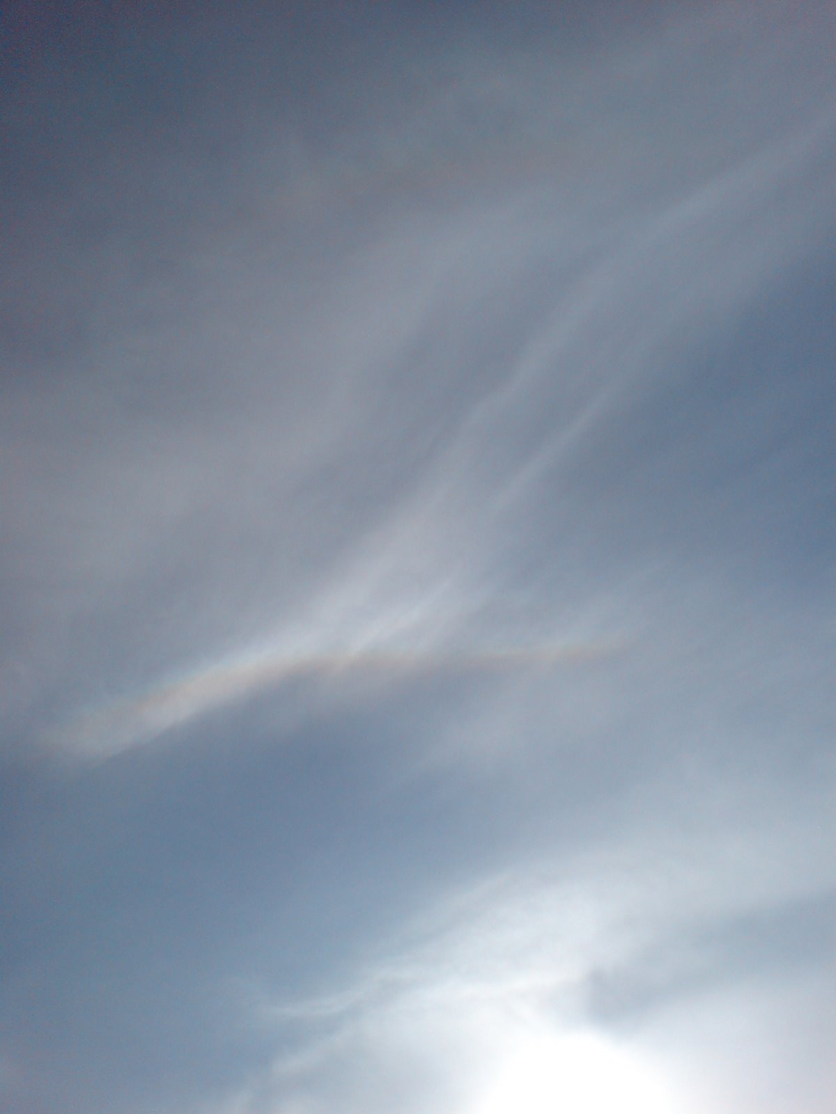 [DSC00448.JPG]