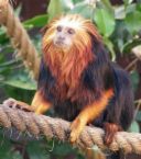 [bdb8eaebaeea52a8.jpg]